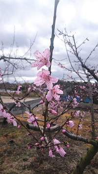 s80kenchikuchu-12