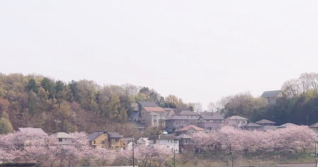 s85kenchikuchu-29