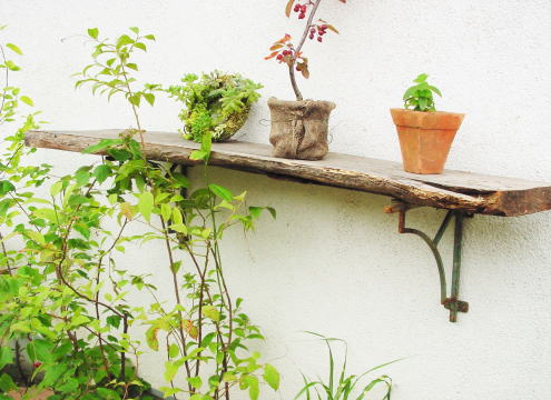 gardenlife-s21-03