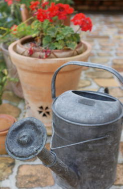 gardenlife-s21-06