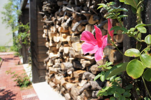 gardenlife-s39-03