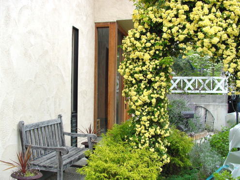 gardenlife-sntom15-03