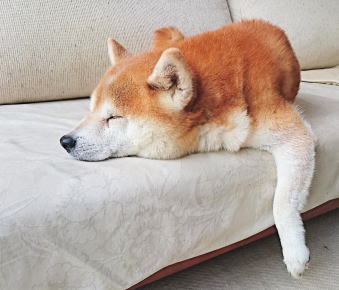 ̏\-08