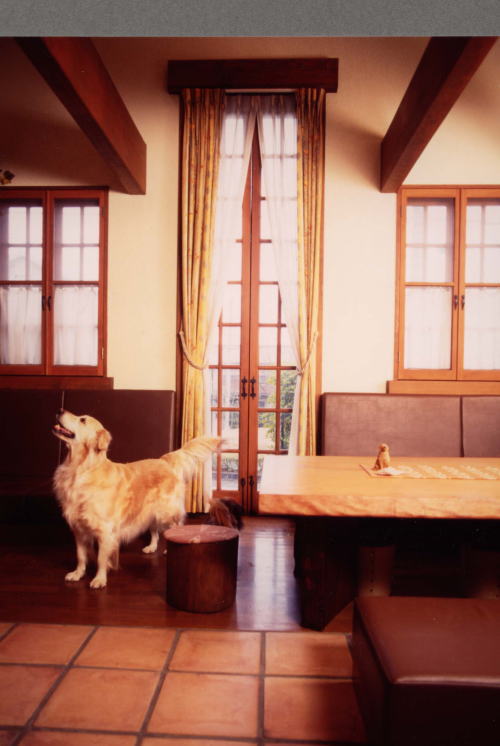 petnew-sora02